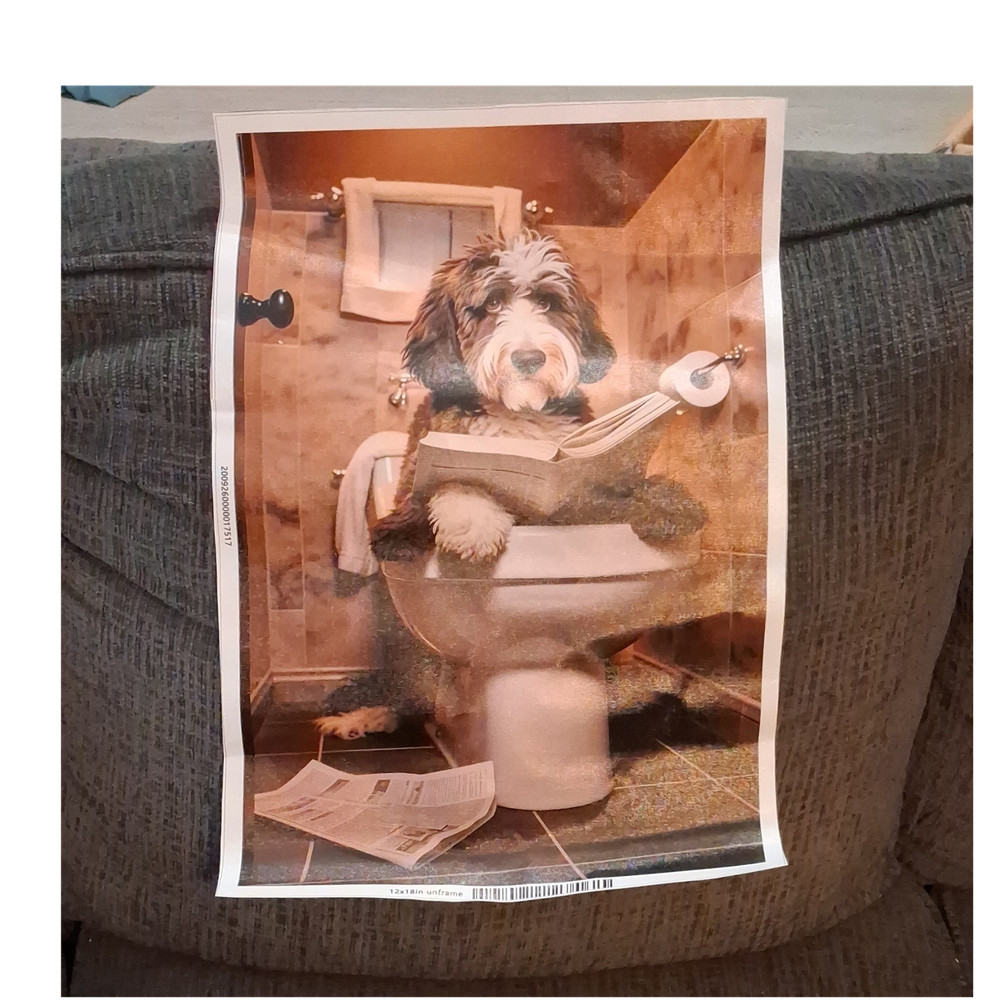 Dog on Toilet Bathroom Humor Print Poster 12 x 18 in Vertical Unframed