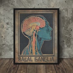 BASAL GANGLIA Brain Anatomy Poster, Biology Neuroscience Intuition Science Decor