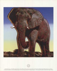 ANDY WARHOL Endangered Species: African Elephant 11.75″ x 9.5″ Offset Lithograph
