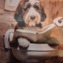Dog on Toilet Bathroom Humor Print Poster 12 x 18 in Vertical Unframed