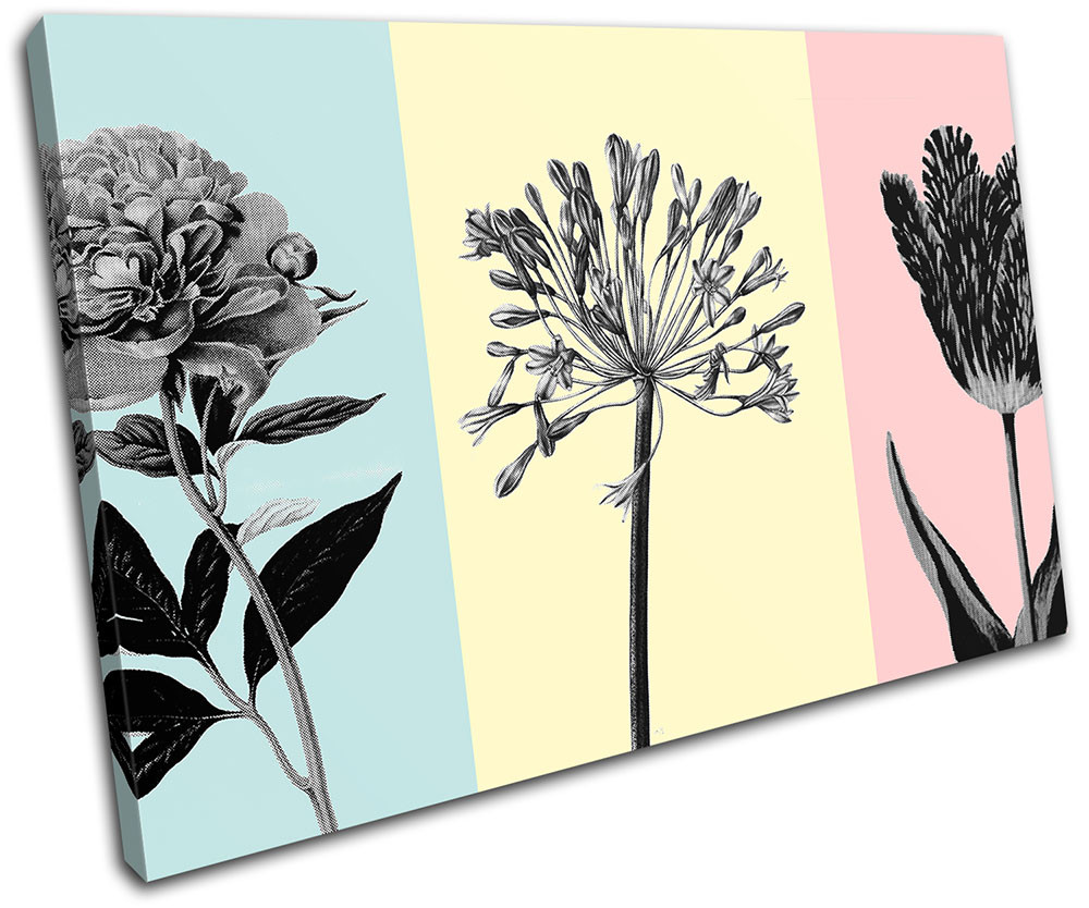 Botanical Floral Flower Modern Vintage SINGLE CANVAS WALL ART Picture Print