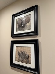 Framed Safari Animal Prints Elephant Zebra 17×14 Inch Decorative Paper Art