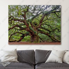 Charleston Angel Oak Tree South Carolina Forest Nature Canvas Wall Art Print