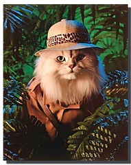Impact Posters Gallery Funny Kittens Animal Safari Cat 20″L x 16″W, Green