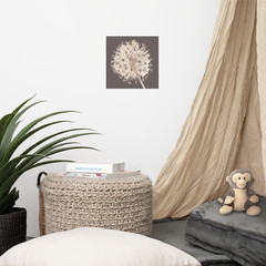 10 x 10 Watercolor Flower Dry Allium Poster Matte Finish Floral Earth Tones