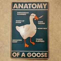 Anatomy Of A Goose Funny Animal ✅ Metal Sign Wall Art Print Decor 8 x 12 in NEW