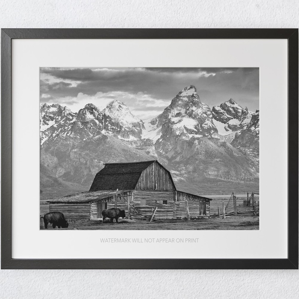 Old Barn on Farm Grand Teton Mountains National Park Premium Art Print