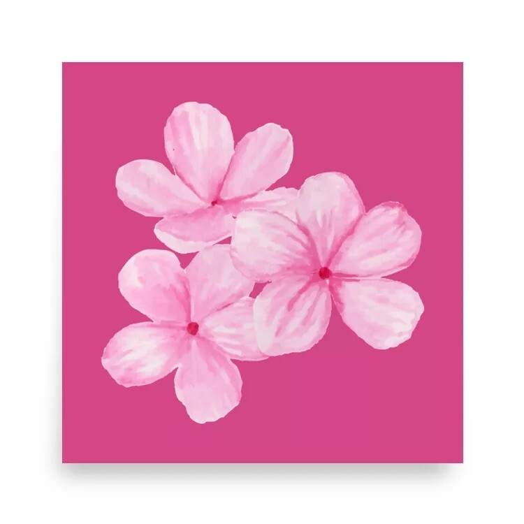 Watercolor Pink Flowers Poster 10 x 10 Inch Matte 3 Flower Bunch
