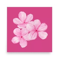 Watercolor Pink Flowers Poster 10 x 10 Inch Matte 3 Flower Bunch