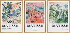 Henri Matisse Colorful Abstract Landscape Wall Art Framed Art Prints Set of 3