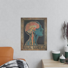 BASAL GANGLIA Brain Anatomy Poster, Biology Neuroscience Intuition Science Decor