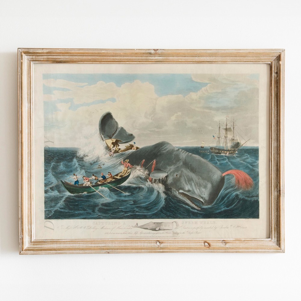 Capturing a Sperm Whale by John William Hill 1835 Ocean Wall Art Poster Print