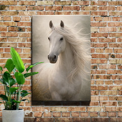Majestic White Horse Canvas Wall Art with Flowing Mane Decorative