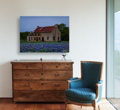 Photography Print Texas Bluebonnets, The Bluebonnet House Marble Falls Texas