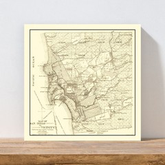 Old Map of San Diego, CA 1895 – Vintage San Diego California