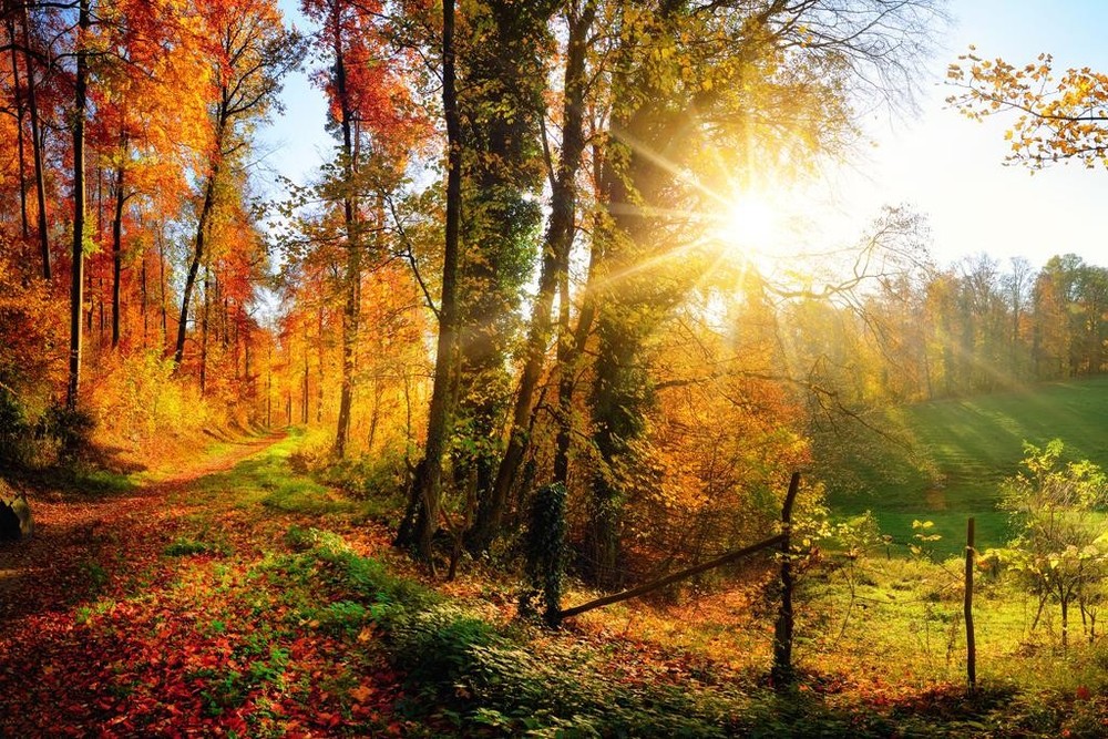 Gorgeous landscape panorama in autumn Poster 24×36 inch