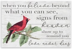 Stupell Industries Believe Love Never Dies Inspirational Design Wall Plaque Art,
