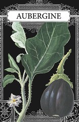 Eggplant Drawing, Eggplant French, French Eggplant, Aubergine 4 x 6″ – 16 x 24″