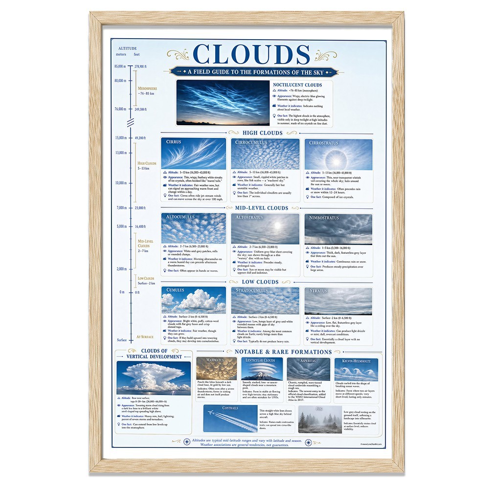 Cloud Identification Framed Poster 24×36 – Weather Reference Chart