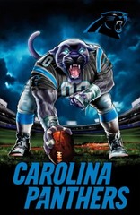 CAROLINA PANTHERS NFL Football Wall Vinyl Decal Poster Print Removable Adhesive