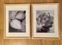 Pack of 2 IKEA BILD Poster Picture 12×16 Artichoke/ Onion,No Frame, HARD TO FIND
