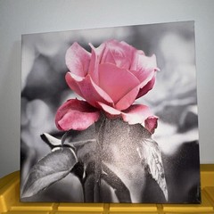 Pink Rose Floral Canvas Print Square Decorative Wall Art in Black White Gray