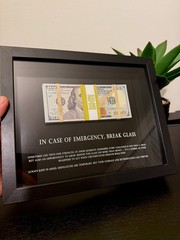 Motivational Money Frame “In Case of Emergency Break Glass” Luxury Gift Decor
