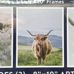 Highland Cow Art Prints Set Of 3 (No Frames) 8×10 Color Farmhouse Creative Bunch