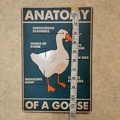 Anatomy Of A Goose Funny Animal ✅ Metal Sign Wall Art Print Decor 8 x 12 in NEW
