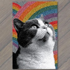 Art Print Black White Cat Rainbow Glitter Sparkle Pride Confetti Retro Pop