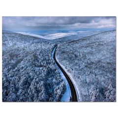 Large Modern Nature Canvas Art for Living Room, Bedroom, Dining Room 16 x 24