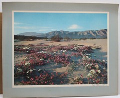 VINTAGE 1960’s STANDARD OIL CO OF CALIFORNIA SEE YOUR WEST COLOR PRINTS 13 pcs