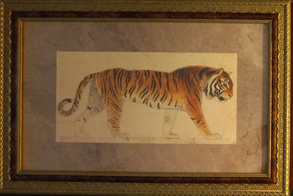 Bold Tiger Painting Beautifully In Framed Art 18″×12″ Inches