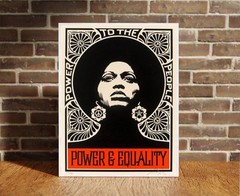 Power and Equality Shepard Fairey Canvas Wrap Wall Decor PosterWall Art Print