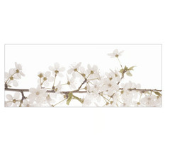BJÖRKSTA Picture, white flowers, 55×22 » (No Frame)