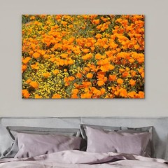 Wall26 Canvas Print Orange Tulip Flower Floral Field Landscape Art