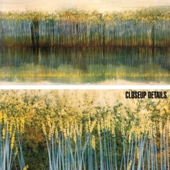 48W»x24H» RIVERBANK REFLECTIONS by ROBERT HOLMAN – LONG GRASS CHOICES of CANVAS