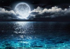 Beautiful Ocean View With the Moon Resting Above it – Wall Mural -100×144 inches