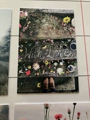 Ikea YLLEVAD Art card, Flowers4x6 «, 4 Pack