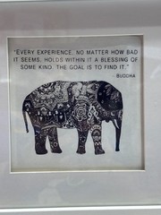 Mandala Elephant Figurative Wall Art Framed Quote Buddha White Black Print