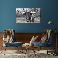 Black and White Animal Wall Art Longhorn Picture Prints Modern Office Living …