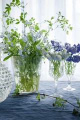 Bohemia Vase Plant Abstract Landscape Print Wall Home Decor – POSTER 20×30