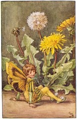 The Dandelion Fairy: Cicely Mary Barker : c 1918 : Archival Quality Art Print