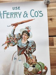D.M. FERRY & COMPANIES STANDARD SEEDS ADVERTISING POSTER REPRINT? 24 X 12.5