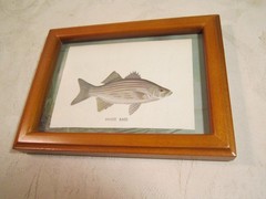 Vintage 1961 Tom Dolan Bass Fishing Framed Color Painting Picture Print (1)