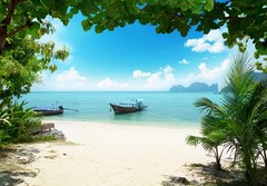 Island Paradise Wall Mural 144Wx100H Removable | Scenic View Sea Sand Palm Tree
