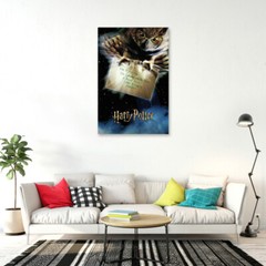 Harry Potter And The Sorcerer’s Stone – Movie Poster (Teaser – Owl & Letter)
