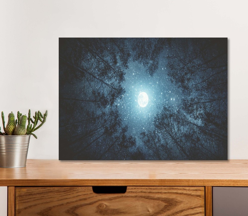 Moon And Stars with Dark Trees 5mm thick Plastic Poster Ready to Hang 60x45cm