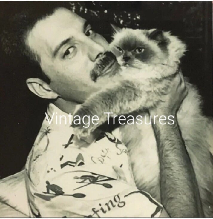 Freddie Mercury Queen Singer with Cat Photo Print Poster