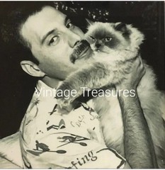 Freddie Mercury Queen Singer with Cat Photo Print Poster
